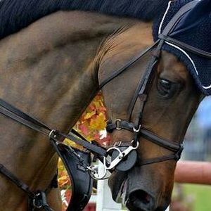 Meet your Posher, Abhijith